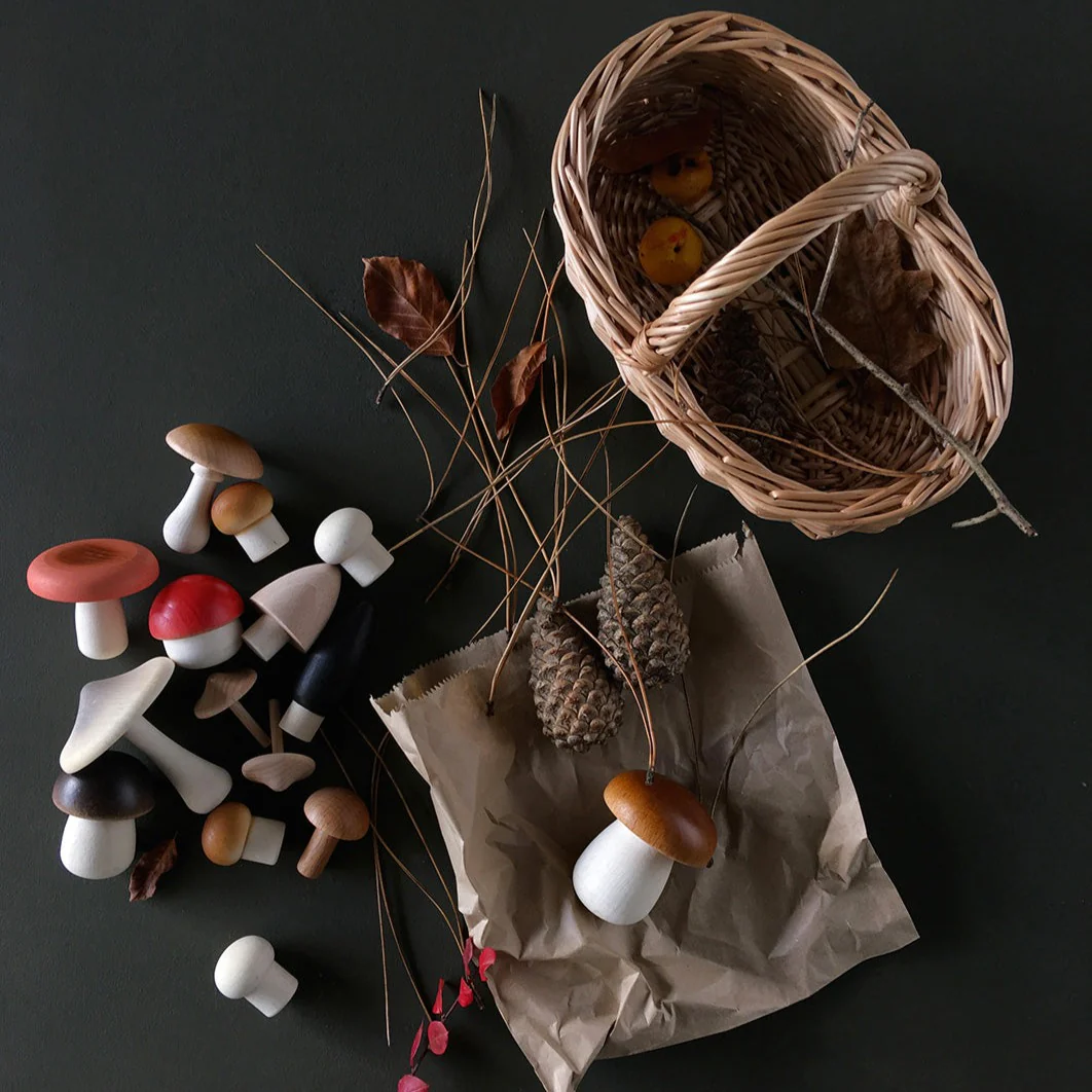 Forest Mushrooms Basket - Moon Picnic - Image 8