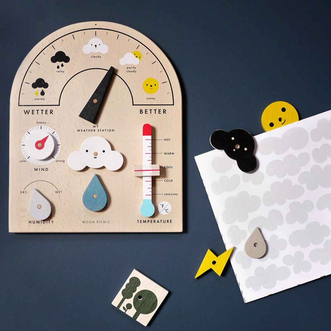 Moon Picnic My Weather Station - Image 3