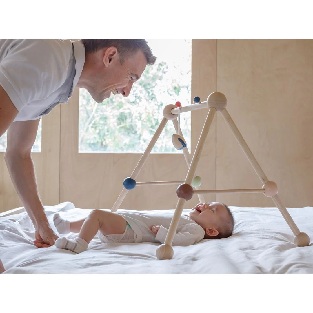 Play Gym - Orchard - Image 5