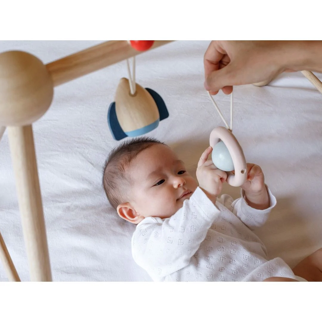 Play Gym - Orchard - Image 6